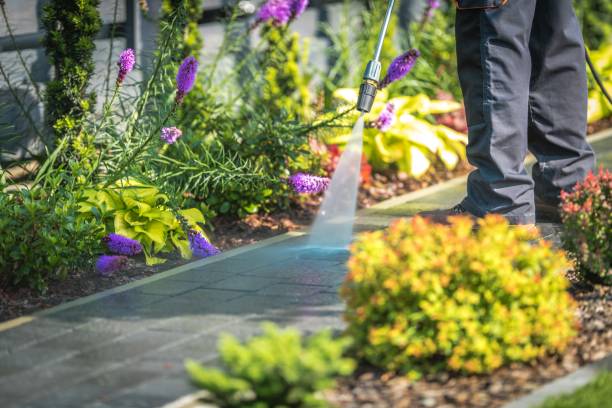 Best Rust and Stain Removal in Chester Heights, PA